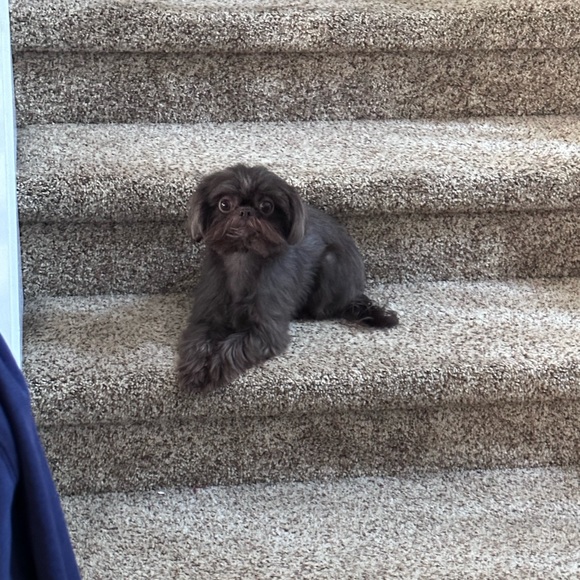 Meet your Posher, Mrs. ND Gunner - Picture 13 of 14